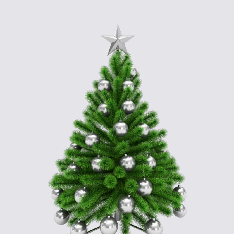 Sapins Blanc et Argent