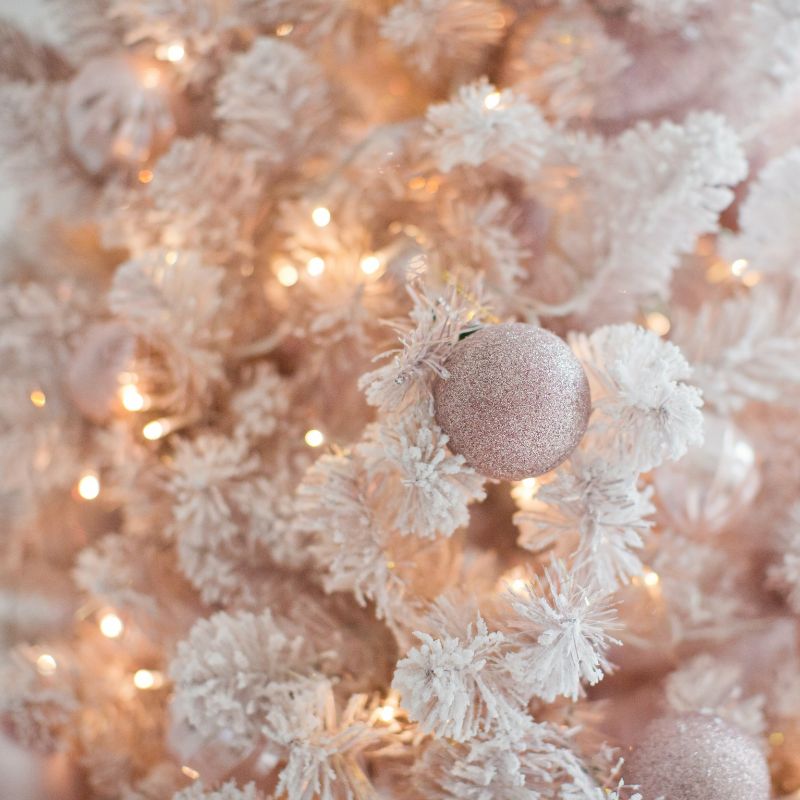 Sapins Blanc et Or