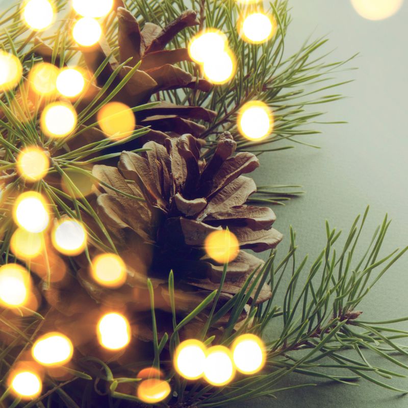 Sapins de Noël Déco Nature