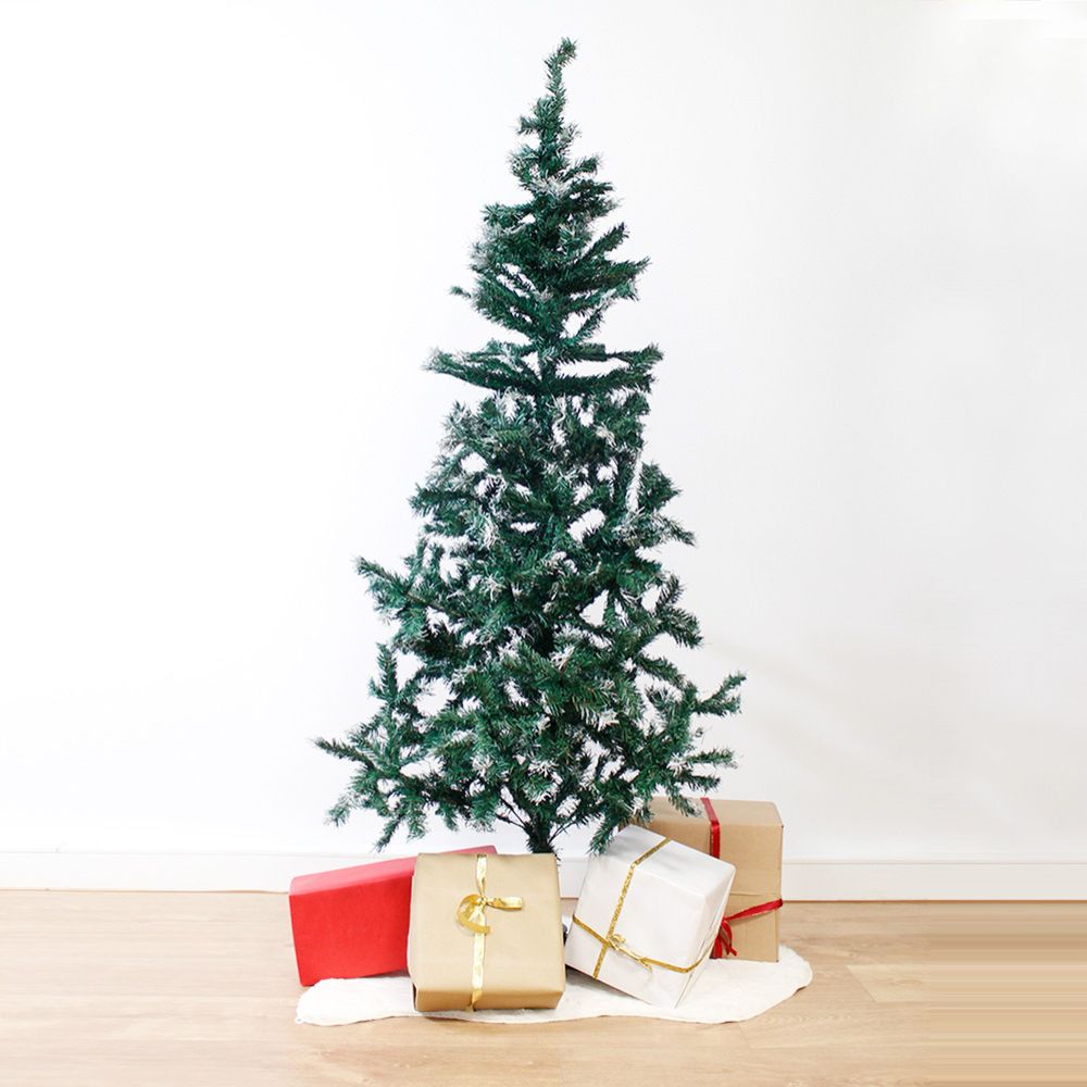 Sapins Enneigés