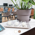 Velas decorativas