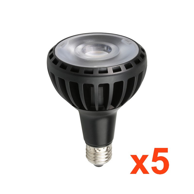 Ampoule E27 LED PAR30 30W 220V RA80 NOIR