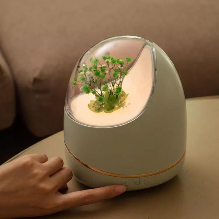 Diffusor für ätherische Öle der ewigen Blume, 400 ml