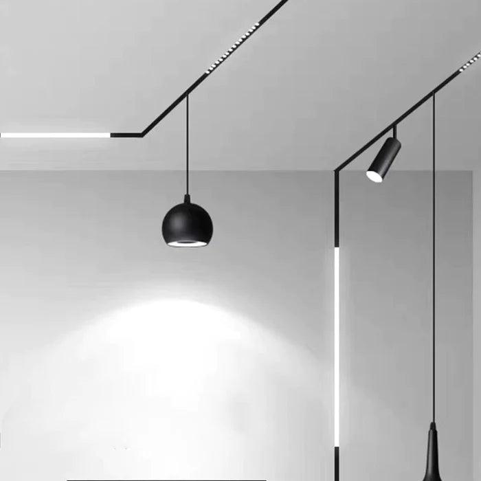 Ronde hanglamp voor Magnetic Track 48V 10W Zwart