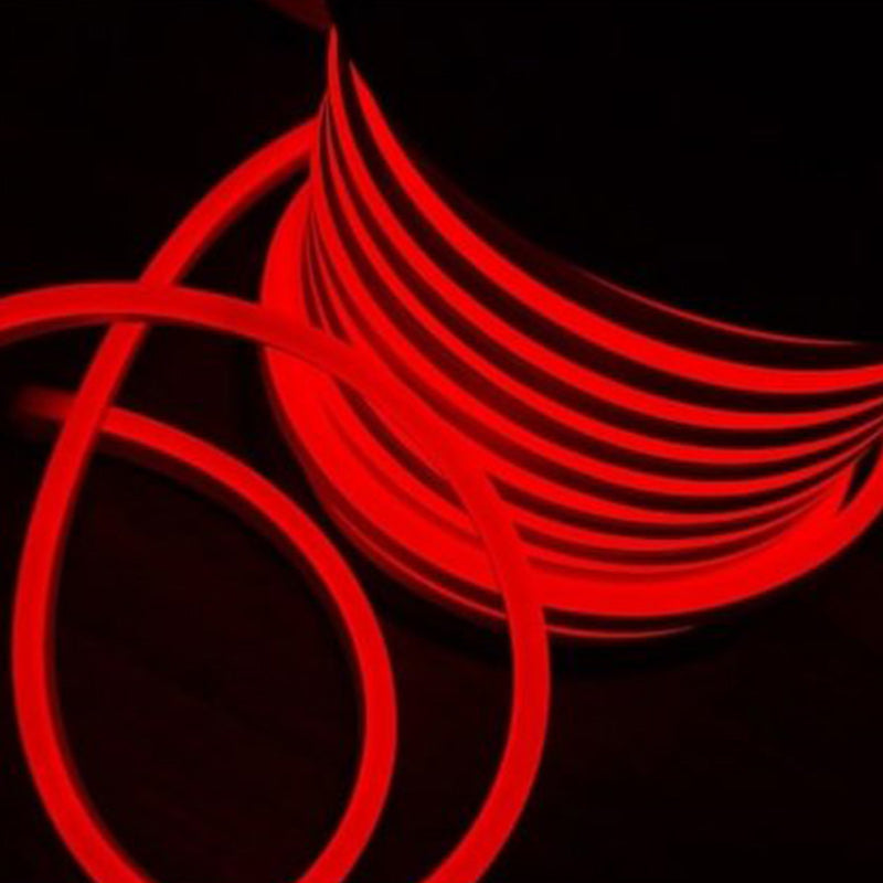 Néon Flexible LED 220V IP65