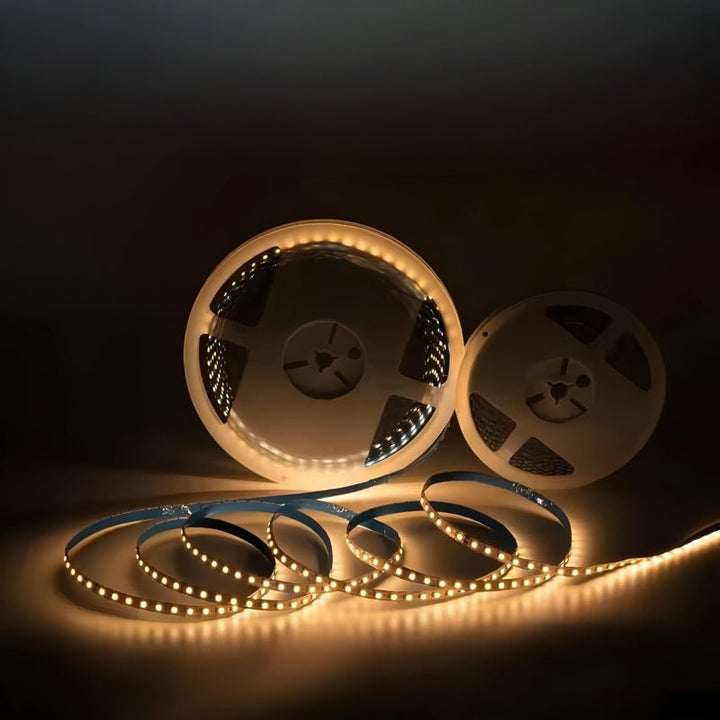 Ruban LED 20M 24V IP20 100LED/M Recoupable à Chaque LED