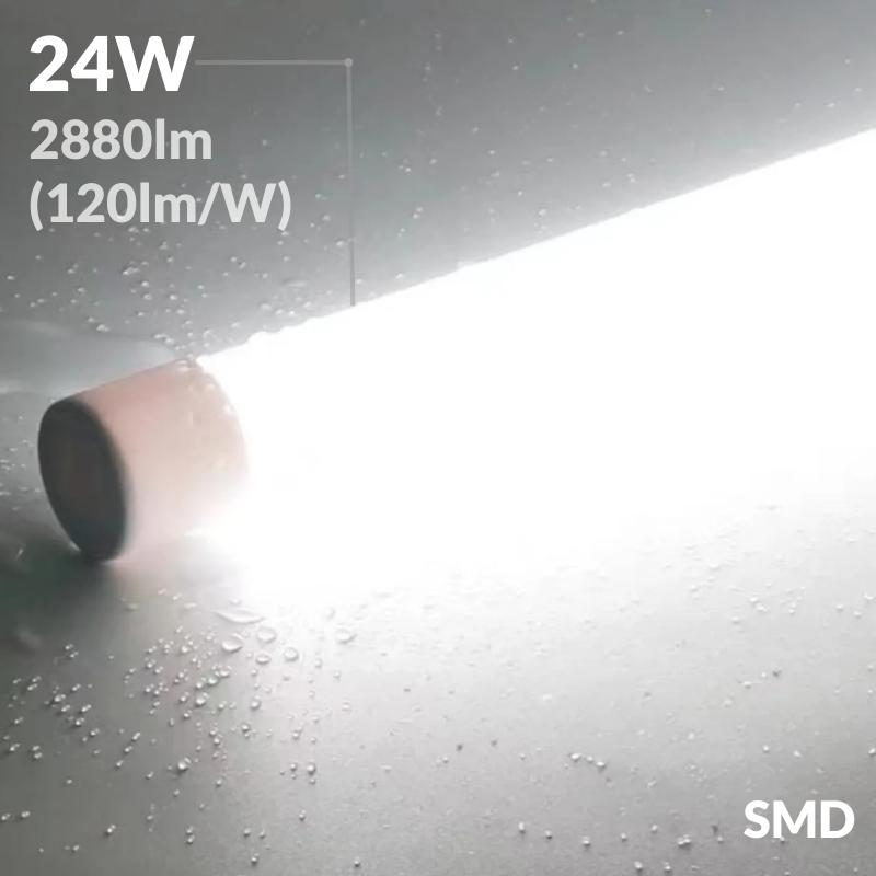 Tube Néon LED 24W IP65 150cm T8 220V