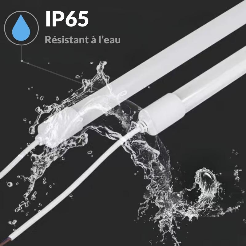 Tube Néon LED 24W IP65 150cm T8 220V