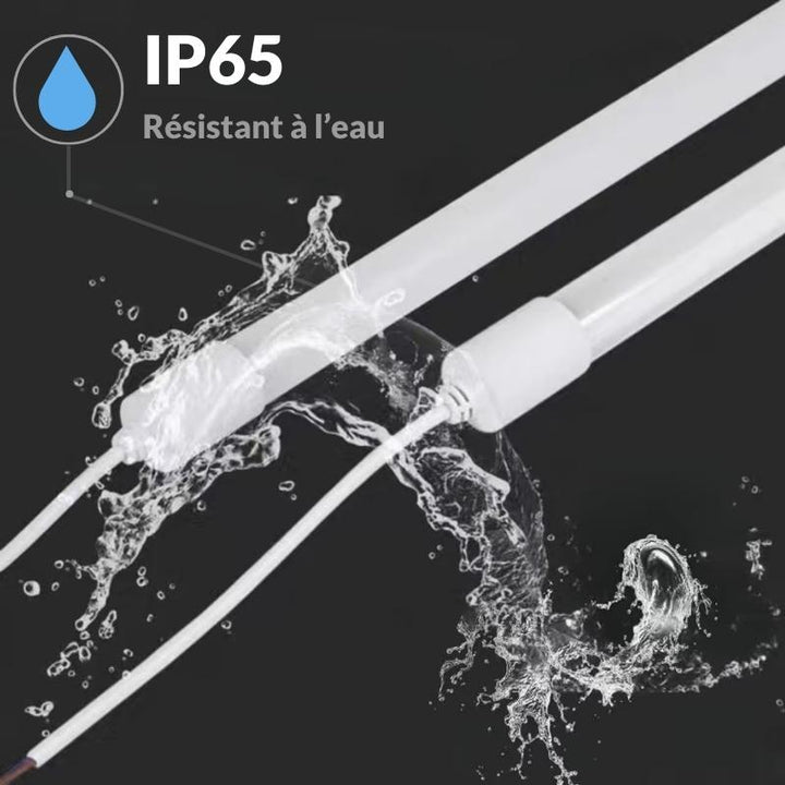 Tube Néon LED 24W IP65 150cm T8 220V