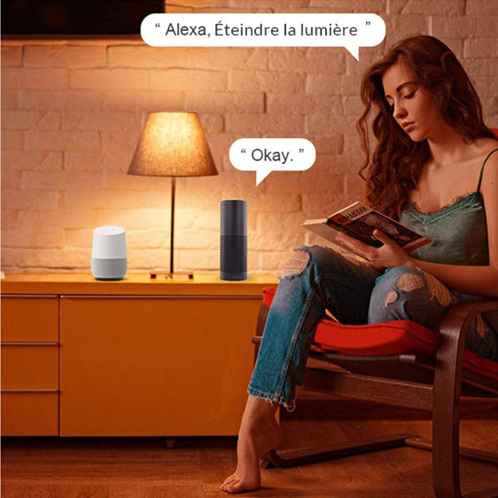 Ampoule LED Connectée Wifi E27 11W G95 RGBW - Silumen