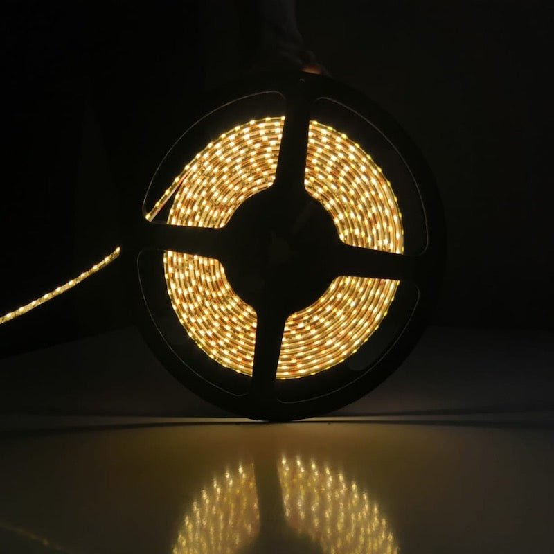 Bandeau LED 12V 5M 2835 IP44 - Silumen