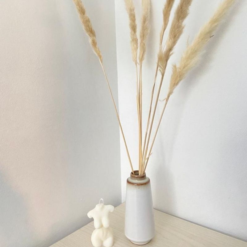 Pampas Séchées Naturelles H65cm, set de 6pcs - Silumen