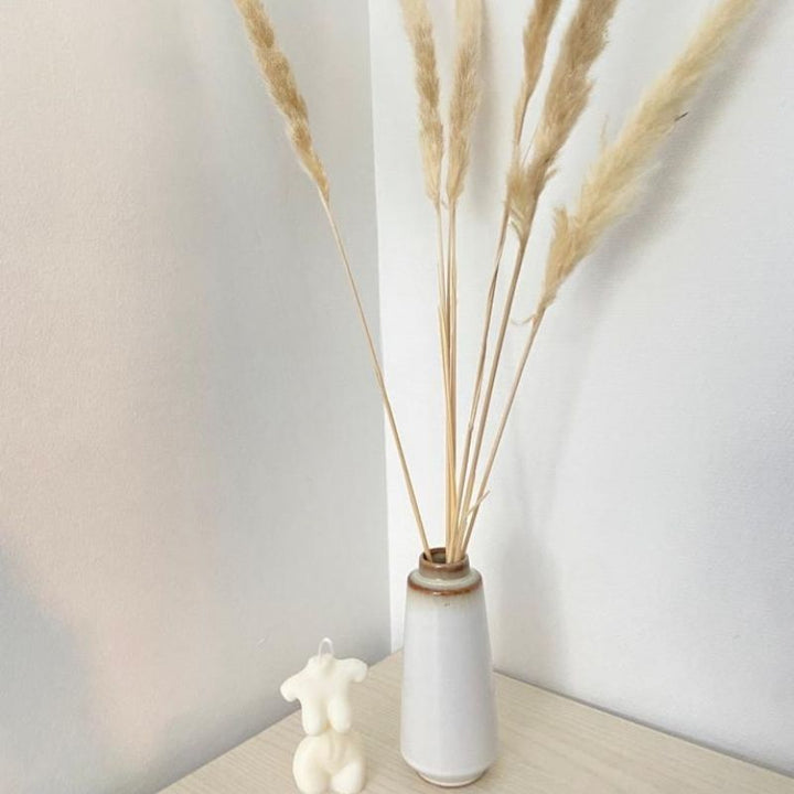 Pampas Séchées Naturelles H65cm, set de 6pcs - Silumen