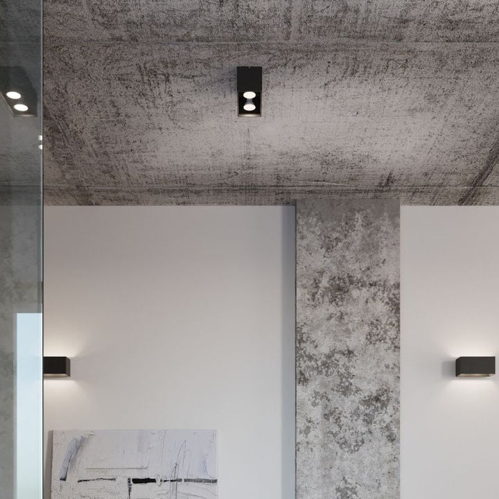 Plafonnier 2 Spots pour Ampoule GU10 - Silumen