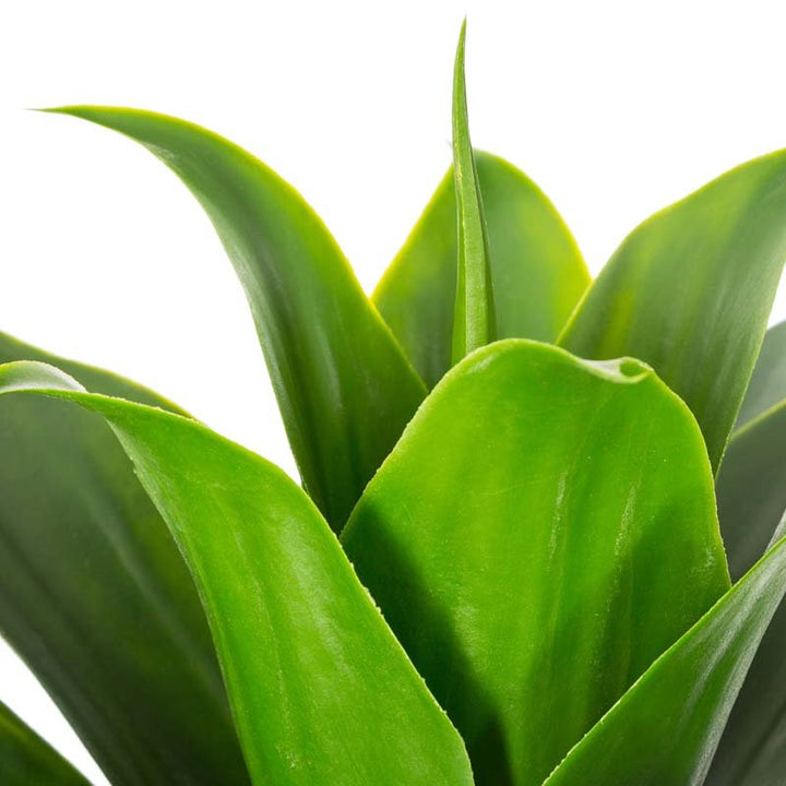 Plante artificielle Aloe Vera décoratif 35cm - Silumen