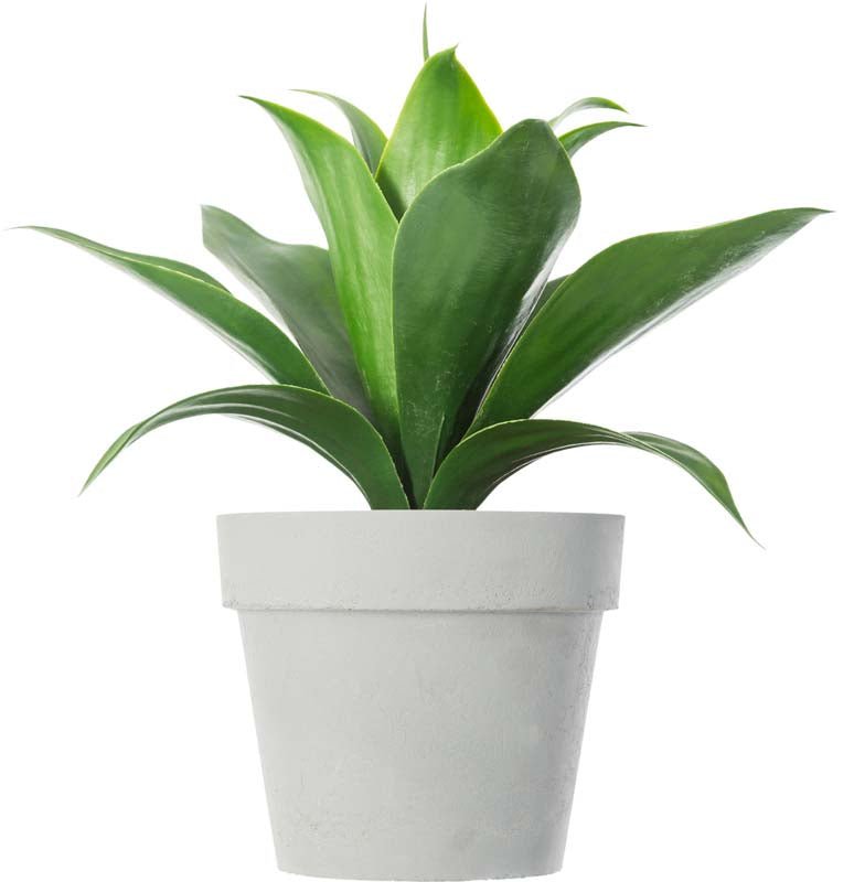 Plante artificielle Aloe Vera décoratif 35cm - Silumen