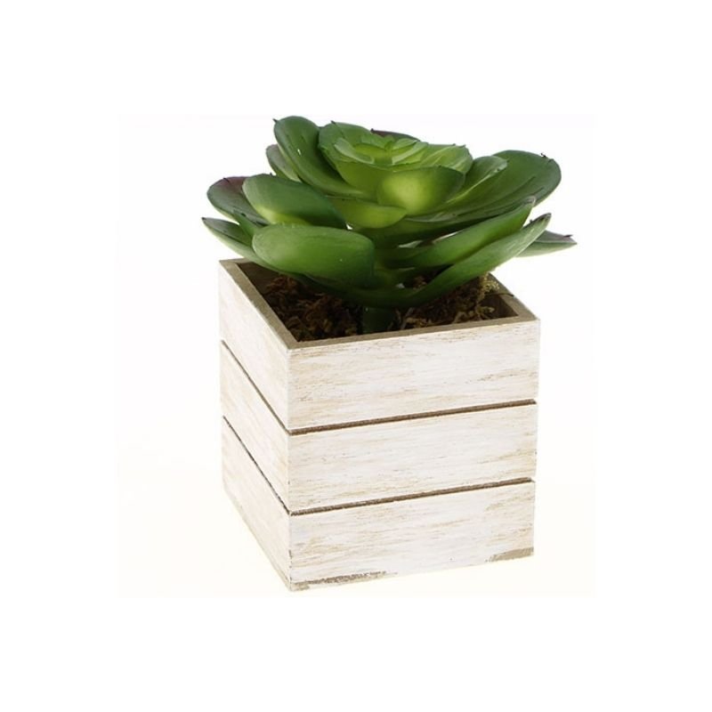 Plante artificielle dans pot en bois H.12cm - Silumen