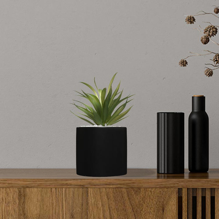 Plante Grasse Artificielle 18cm avec pot marbre - Silumen