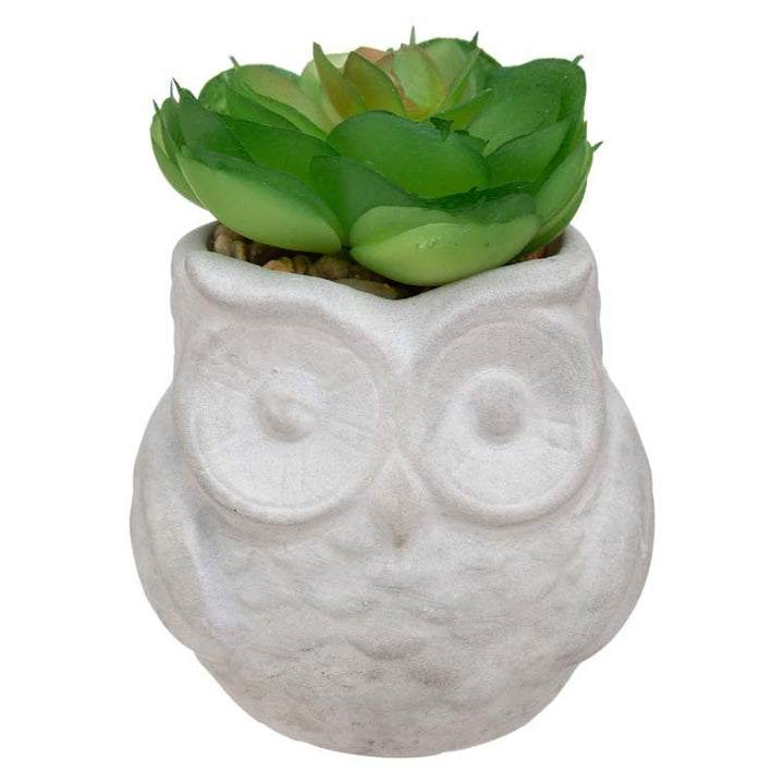 Plante Grasse Artificielle 8cm avec pot hibou - Silumen