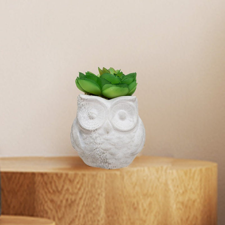 Plante Grasse Artificielle 8cm avec pot hibou - Silumen