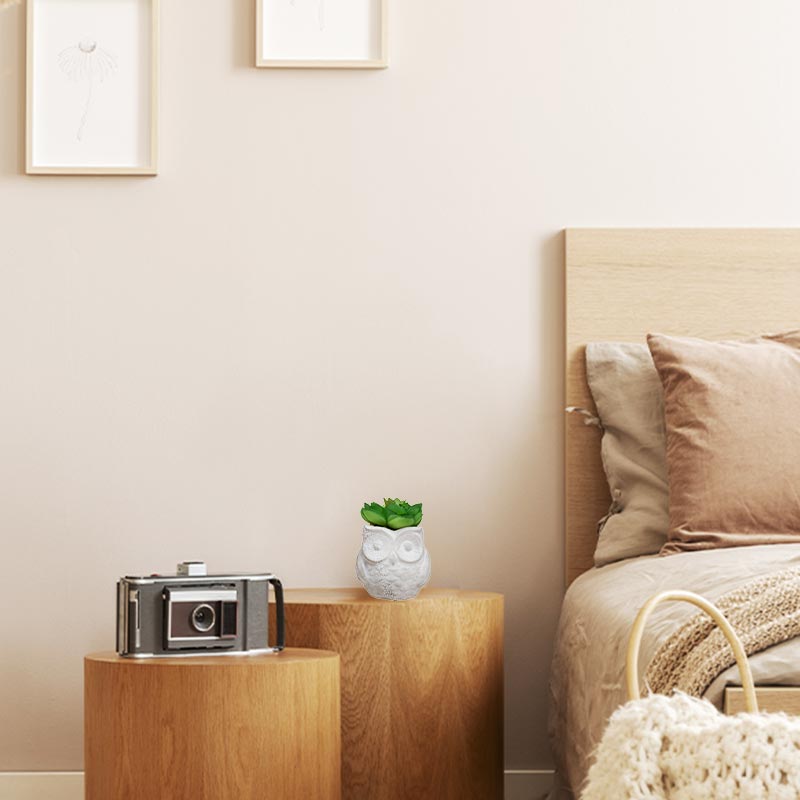 Plante Grasse Artificielle 8cm avec pot hibou - Silumen