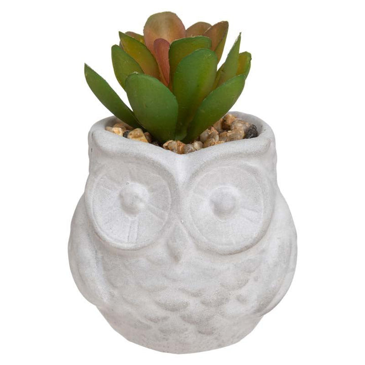 Plante Grasse Artificielle 8cm avec pot hibou - Silumen