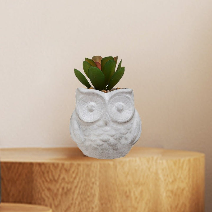 Plante Grasse Artificielle 8cm avec pot hibou - Silumen