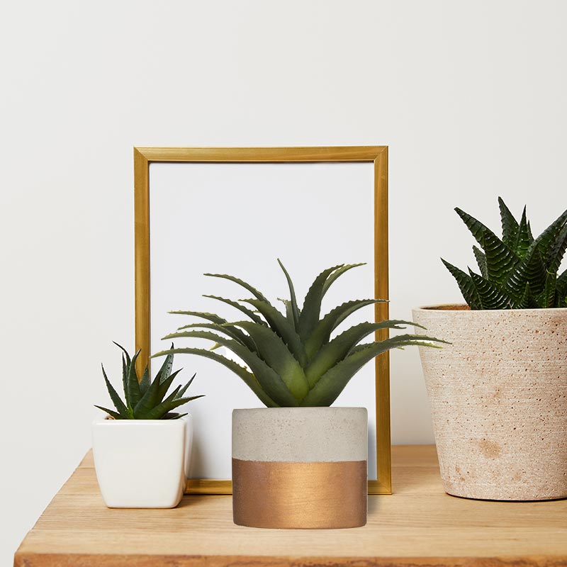 Plante verte artificielle Aloe Vera 28cm avec pot bicolore - Silumen