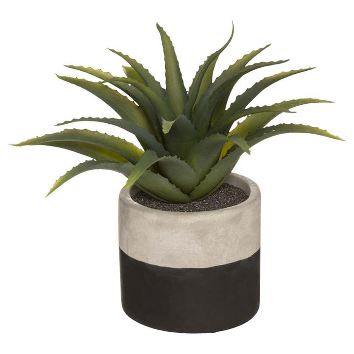 Plante verte artificielle Aloe Vera 28cm avec pot bicolore - Silumen