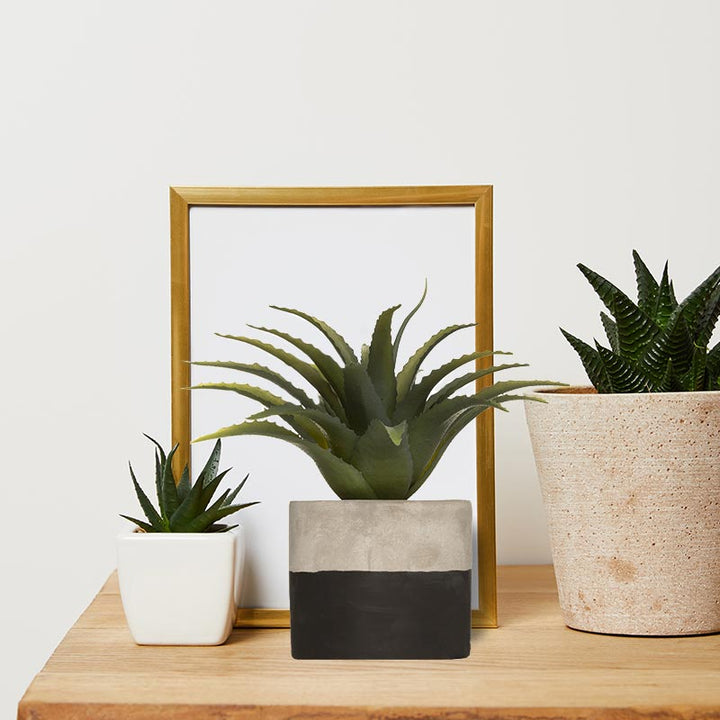 Plante verte artificielle Aloe Vera 28cm avec pot bicolore - Silumen