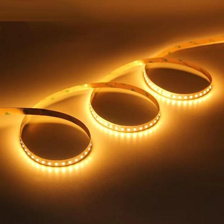 Ruban LED 12V 5M 2835 IP65 2100lm/m - Silumen