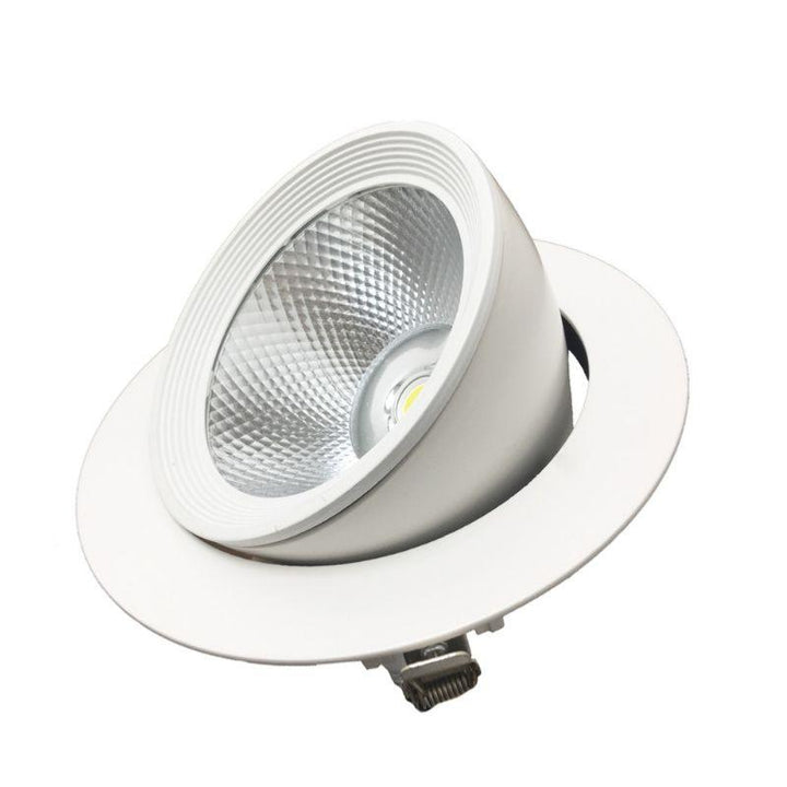 Spot LED Rond Encastrable Orientable COB Blanc 30W - Silumen