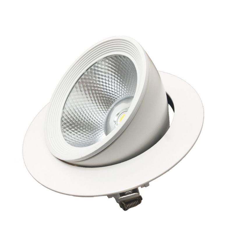 Spot LED Rond Encastrable Orientable COB Blanc 30W - Silumen