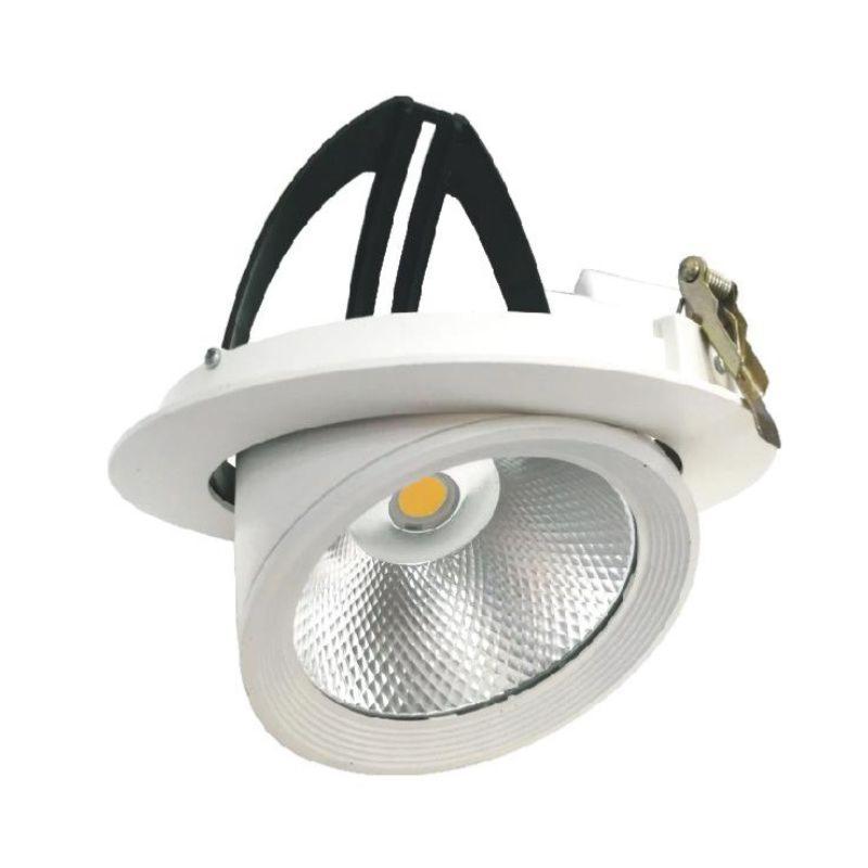 Spot LED Rond Encastrable Orientable COB Blanc 30W - Silumen