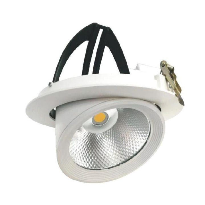 Spot LED Rond Encastrable Orientable COB Blanc 30W - Silumen