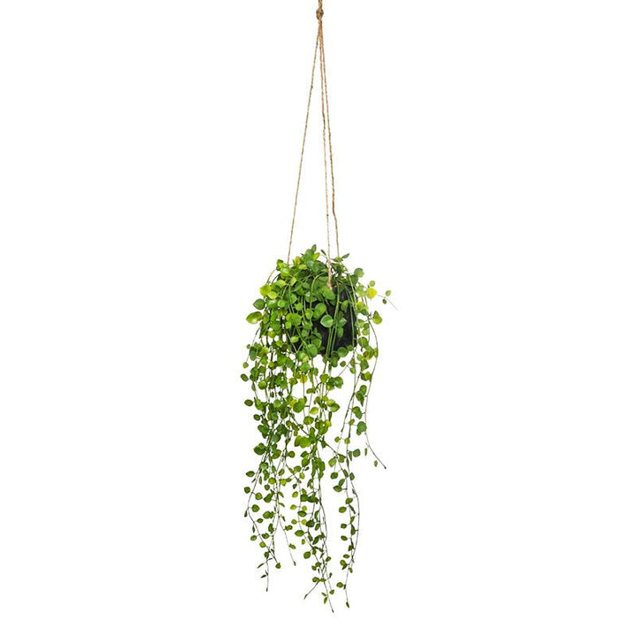 Suspension plante verte retombante 10 cm - Silumen
