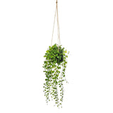 Suspensión de la planta verde cayendo 10 cm