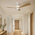 Ventilateur de Plafond