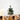 Sapins Argent
