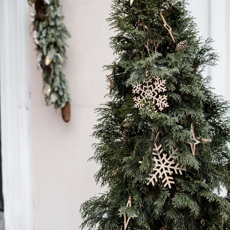 Sapins de Noël Extérieurs