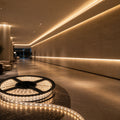Rubans LED 50m