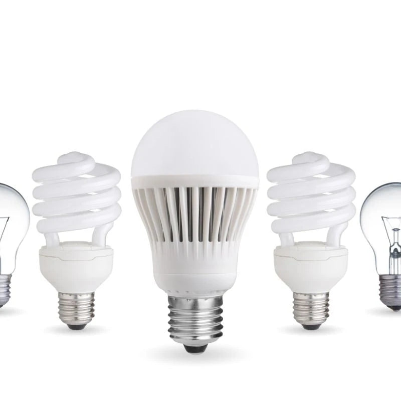 Ampoules LED