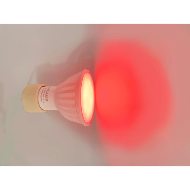 Ampoules LED à Broches - Silumen