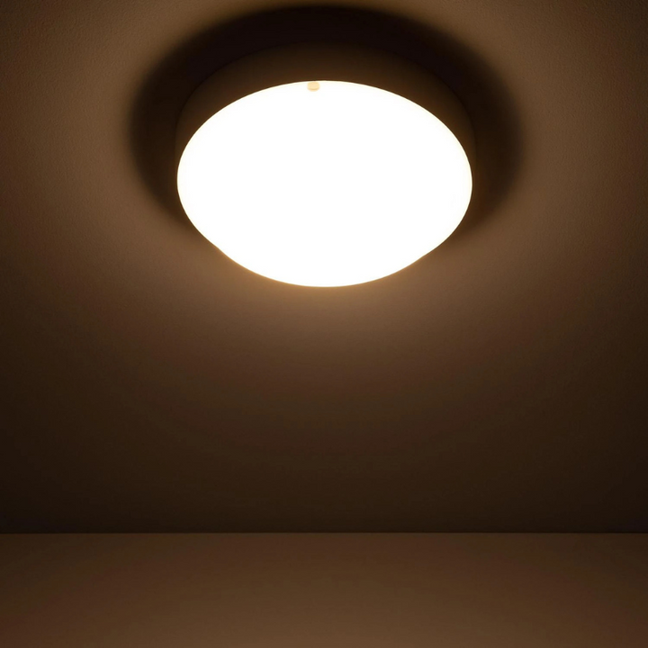 Plafonnier LED Extérieur Rond 25W Blanc IP65 Ø175 mm