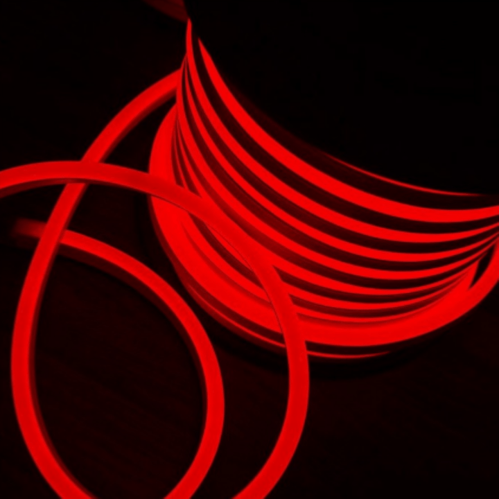 Néon Flexible LED 220V IP65 50m