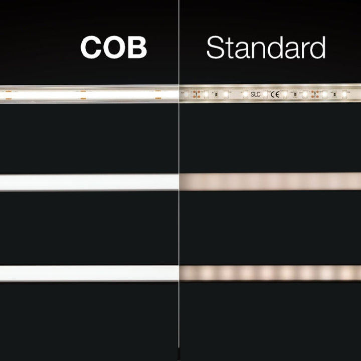 Ruban LED COB 220V AC 20m Recoupable IP65 432LED/m