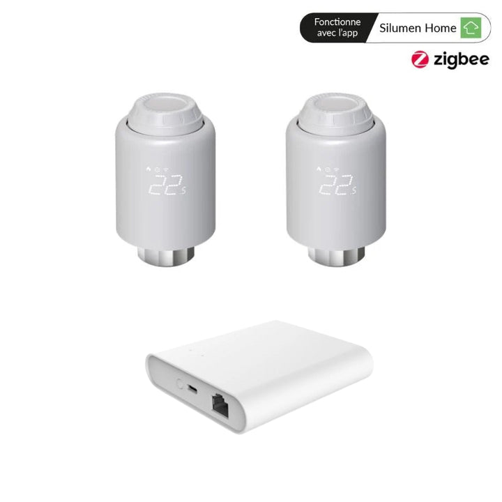 Kit 2 Têtes Thermostatiques Connectées + ZigBee Ethernet