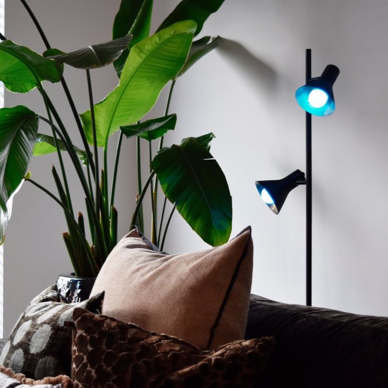 Ampoule LED E27 A60 8.5W RGBW avec Télécommande (Pack de 10)