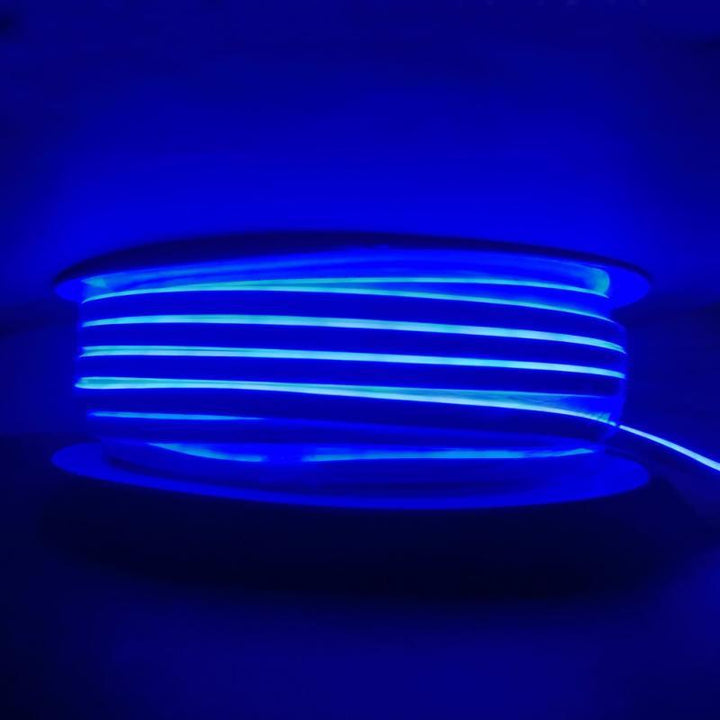 Néon Flexible LED 220V IP65 50m