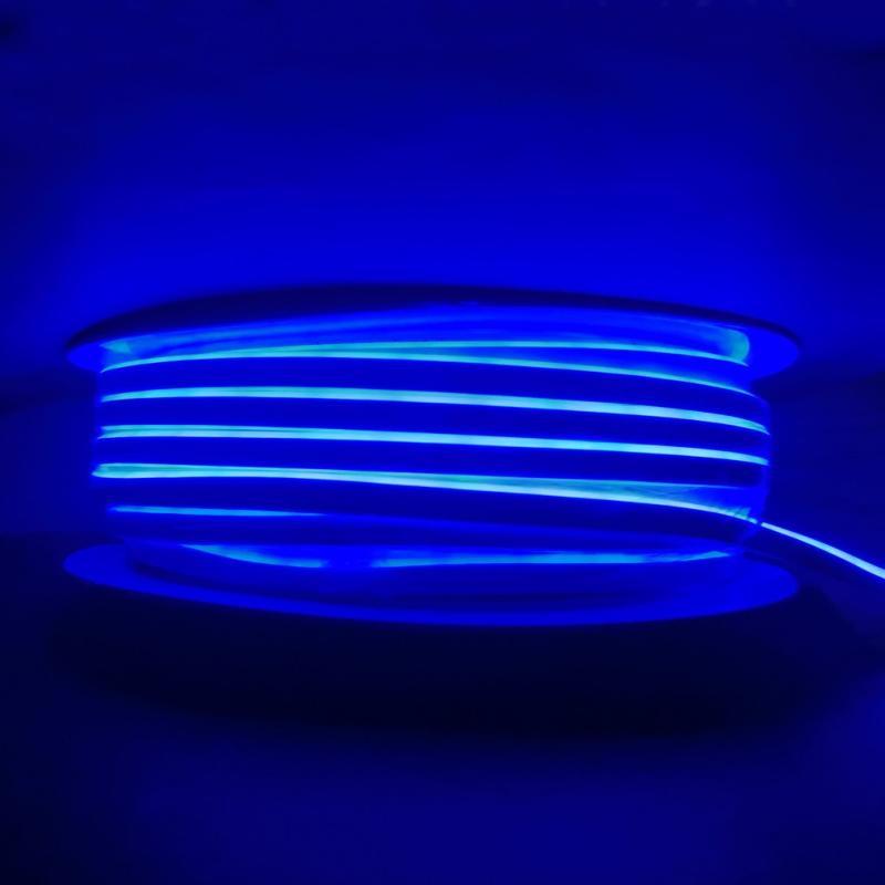 Néon Flexible LED 220V IP65 50m
